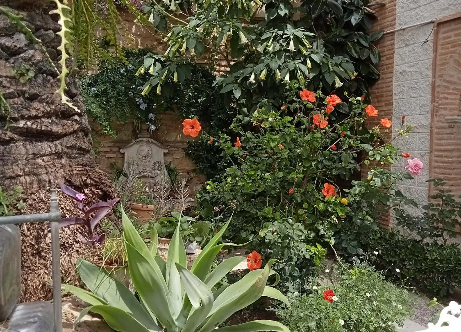 Apartamento Flor De Olivo Puente de Génave